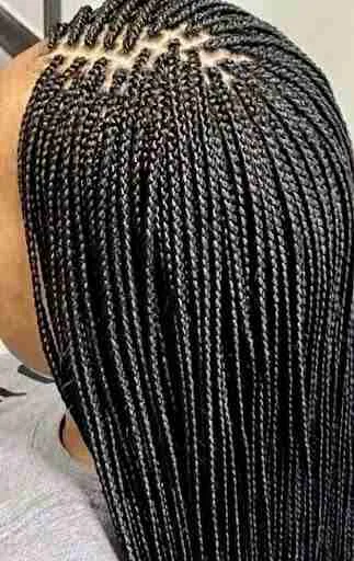 Box braids medium regular