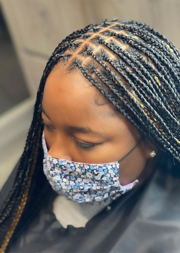 Box Braid small regular